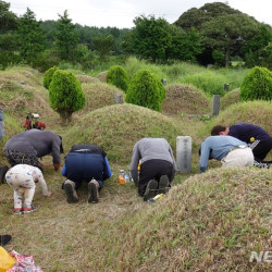 제주 추석상엔 카스텔라가 올라온다