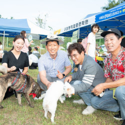 '펫 런웨이, 간식 체험' 구미시 반려동물 문화 소통의 축제