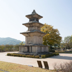 경주 고선사지 삼층석탑, 국립경주박물관 야외로 나온다