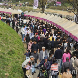 10월 양재천서 문화마켓 즐기자…서초구, '양재아트살롱' 운영