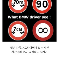 유럽인들이 생각하는 BMW 인식