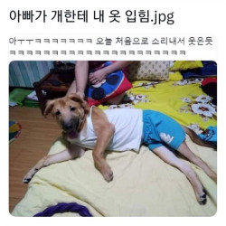 진짜 자다일어나는 사람인줄