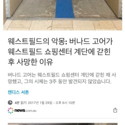 진짜 백룸에서 사망했던 사건