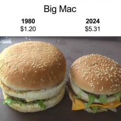 1980 vs 2024 빅맥크기