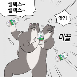 셀렉스 괴양이툰 콜라보