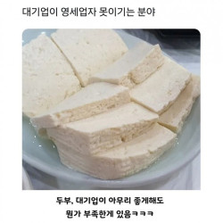 대기업이 영세업자 못 이기는 분야