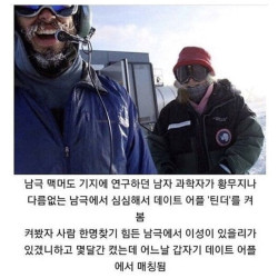 남극에서 데이트어플 켰더니.jpg