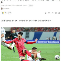 축구·콘서트 82억 번 상암월드컵경기장, 잔디관리엔 2.5억 써