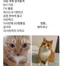 J와 P의 계획짜기