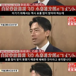 펀쿨섹좌가 떨어진 결정적인 이유