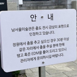 남서울 미술관에서 허용하는 것