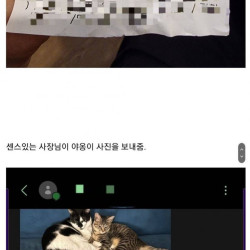 리뷰 이벤트로 고양이 사진 보내주는게 있어서 사진 보내달라 했는데