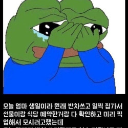 엄마 생일이라 반차 썼는데 야근 시킨 ㅈ소 기업