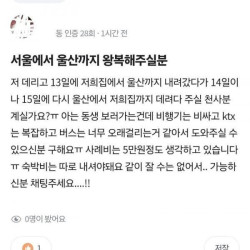 서울에서 울산까지 왕복 해주실분 ㄷ ㄷ