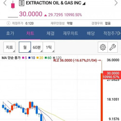 상한가가 없는 미국주식에서만 가능한일.jpg