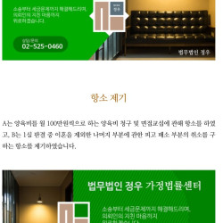 길고양이 키우고자 아이를 포기했지만 양육권 인정 판결