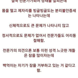 개주작하다가 들통나버린 방송