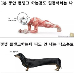 플랭크 대가