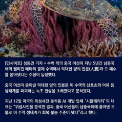 중국이 지구의 악인 이유