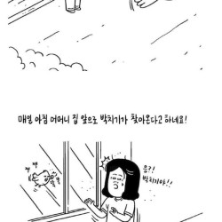 어머니 집에 찾아온 박치기