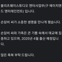 '시험관 2차'손담비,결혼 3년만 임신내년 4월 출산