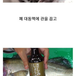 생선회 맛있게 먹는 법