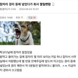 싱글벙글 디시 일상