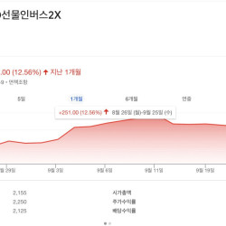 최근 한달간 떡상하고 있다는 주식