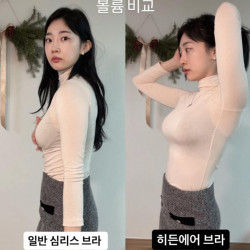 ㅇㅎ) 여성들이 히든에어 브라를 착용하는 이유.