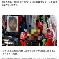 최근에 이탈리아에서 일어난 끔찍한 사건