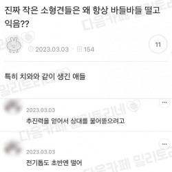 [유머]소형견들이 바들바들 떠는이유