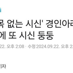 [단독]'목 없는 시신' 경인아라뱃길, 나흘만에 또 시신 둥둥