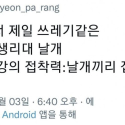 세상에가장 강한 접착력은 무엇일까요 퍼온글