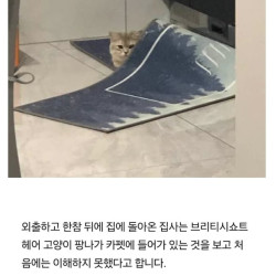 에어컨 끄는 것 깜빡 잊고 외출하고 돌아왔더니..