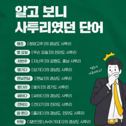 알고 보니 사투리였던 단어