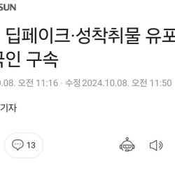 연예인 딥페이크·성착취물 유포 30대 중국인 구속