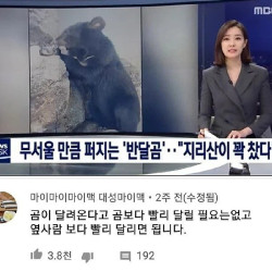 곰이 달려올 때 살아남는 법.jpg