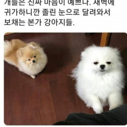 너무귀여워요