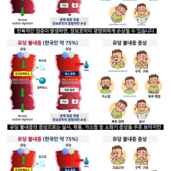 한국인이 우유 마시면 안 되는 이유.eu