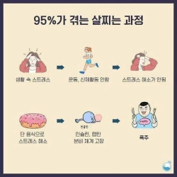 95%가 겪는 살찌는 과정ㄷㄷ