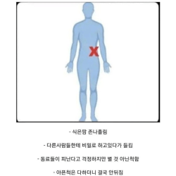 은근히 총 맞아도 괜찮은 신체 부위