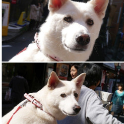 여보... 당신은 무사히 사람으로 태어났군요..