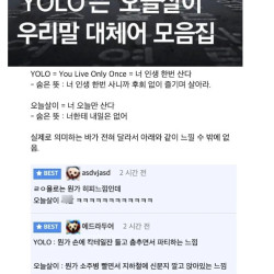 국립국어원, YOLO의 우리말 대체어