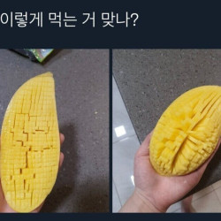 망고 이렇게 먹는 거 맞나?.jpg