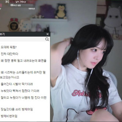 스타크래프트 훈수두는 시청자랑 맞짱뜨는 여 스트리머