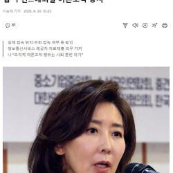 나경원, '댓글 작성자 국적·접속지 표기 의무화법' 추진…해외발 여론조작 방지