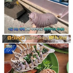 랍스터보다 맛있다는 갑각류