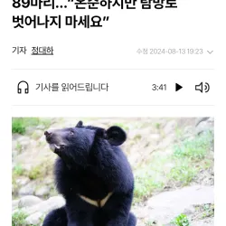 지리산 반달곰 89마리 온순하지만 탐방로 벗어나지마세요