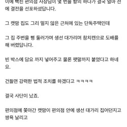 캣맘과 대판 싸운 사장님