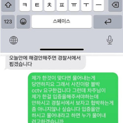 차 범퍼가 긁혔다고 대리기사에게 문자보낸 아줌마